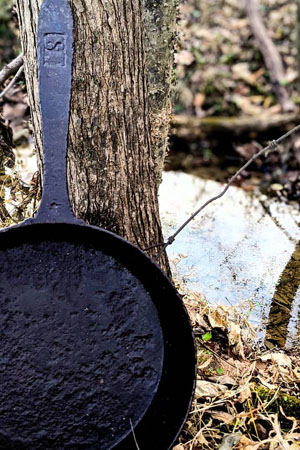 Country Cast Iron Skillet